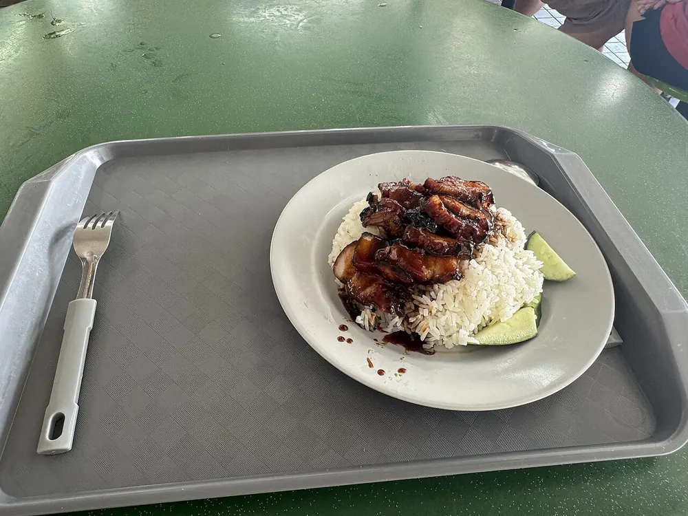Char siu rice photographed at Beauty World Centre food centre in August 2025